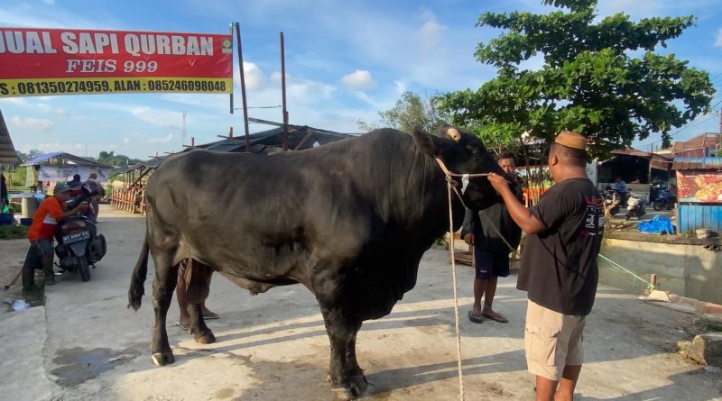 DLHBalikpapan-13-800x445